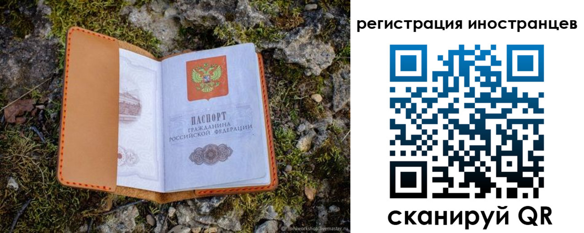 прописка паспорт в Заречном